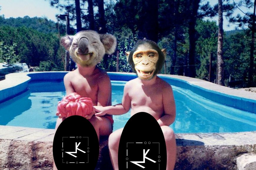 Músiques modernes - Micos i Koalas