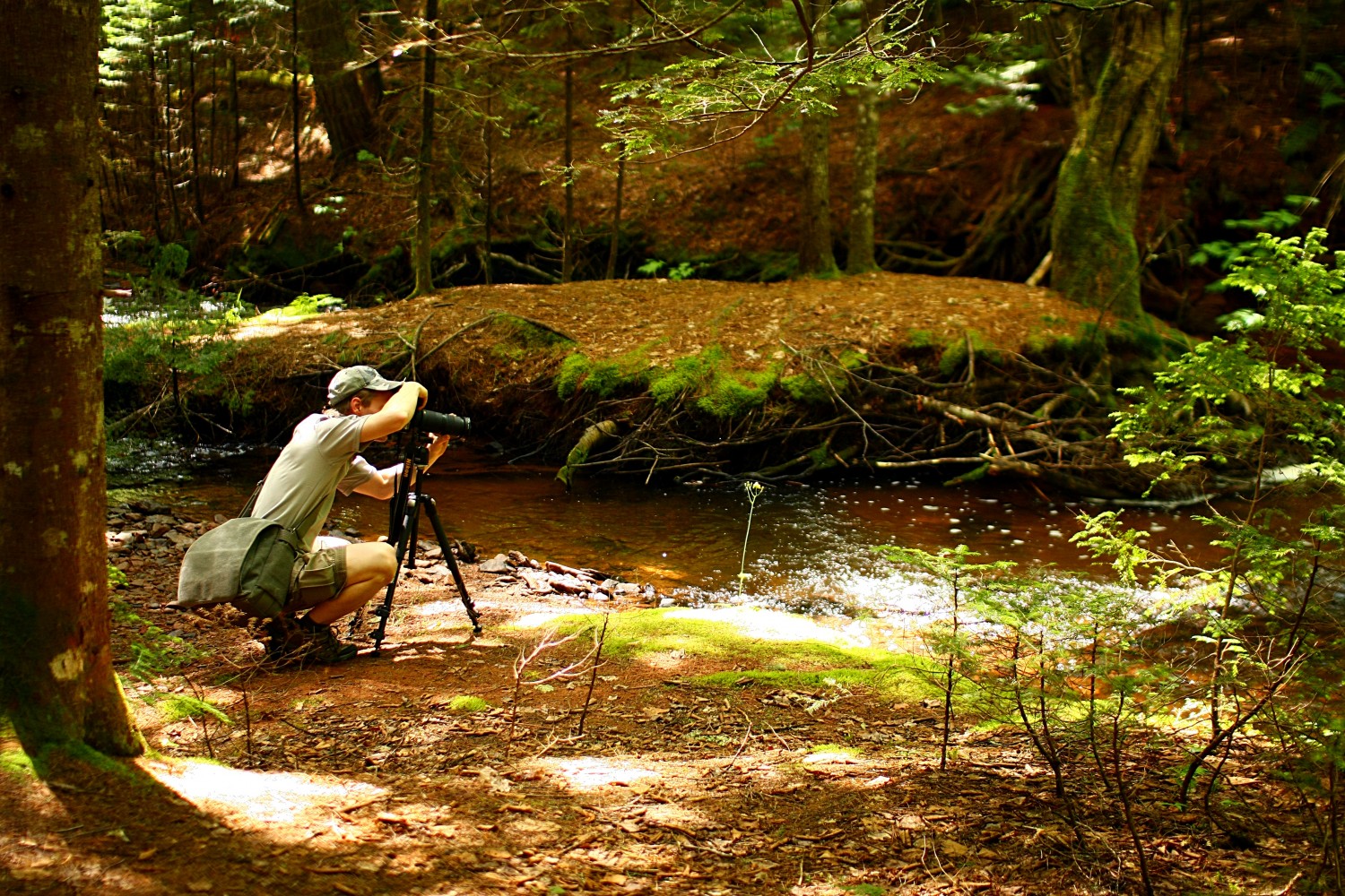 Exposició: XVIII concurs de fotografia de la natura