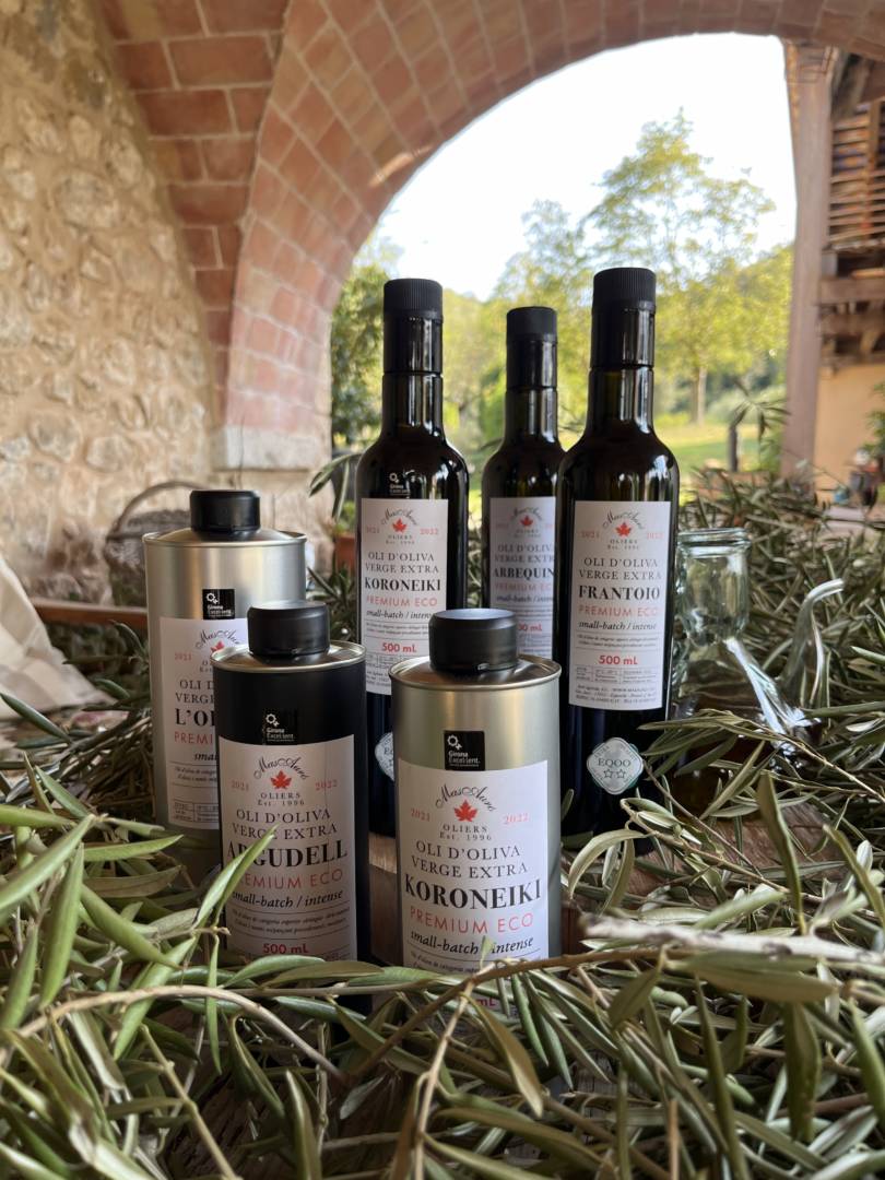 Visita guiada al molí i tast d'olis a Mas Auró