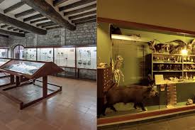 Jornada de portes obertes als Museus de Banyoles