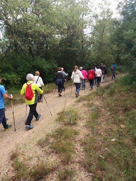 Sortida conèixer el Pla de l'Estany - Palol de Revardit