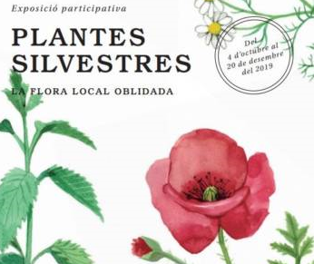 Plantes silvestres - La flora local oblidada