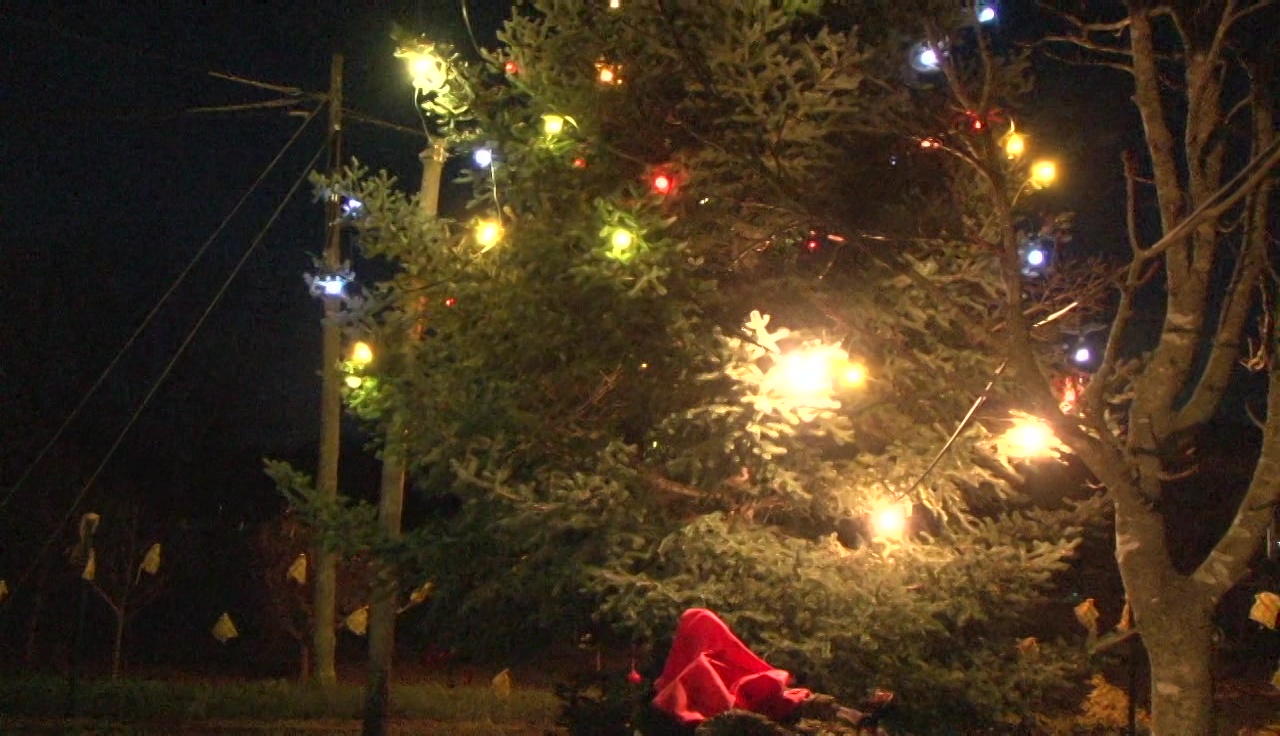 Encesa de llums de Nadal a Sant Miquel de Campmajor
