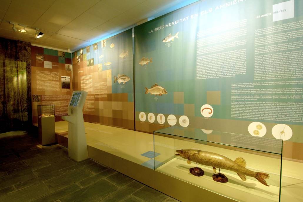 museu_darder.jpg-1500×1000