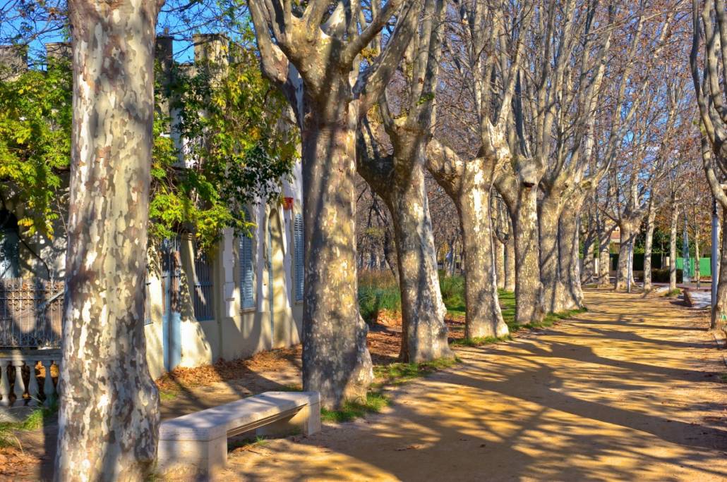 banyoles dia 4 -50