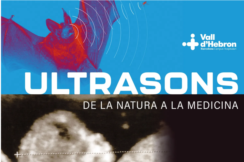 Visita guiada a l’exposició “Ultrasons. De la natura a la medicina”