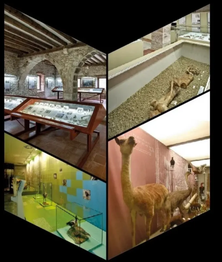 Dia internacional dels museus