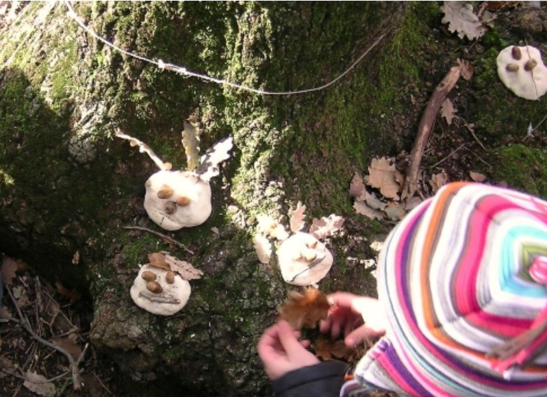 Activitat familiar - Follets i descobertes al bosc