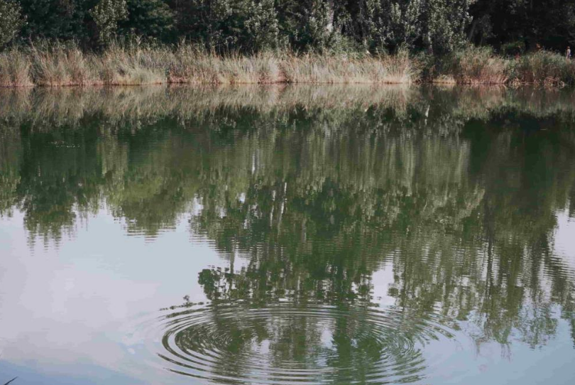 Ecoaventura aquàtica