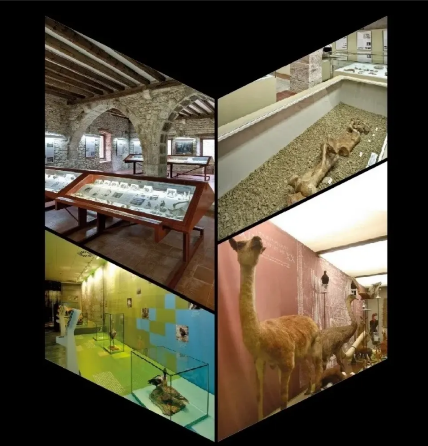 Jornades de portes obertes als Museus de Banyoles