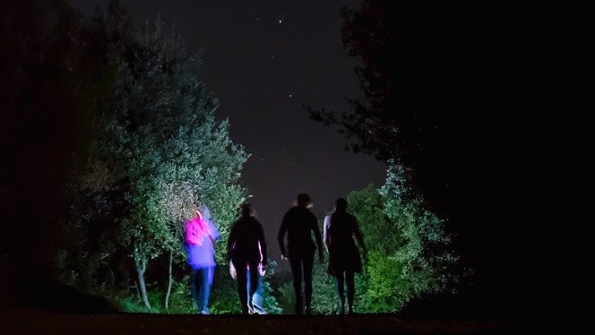 Marxa nocturna de La Vall del Terri