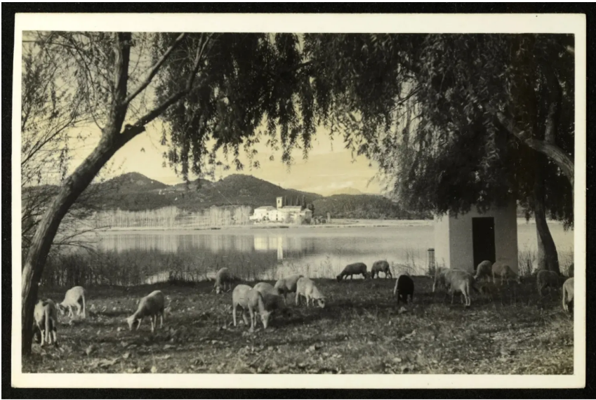 Exposició - Arran d'estany: Paisatges d'ahir i d'avui
