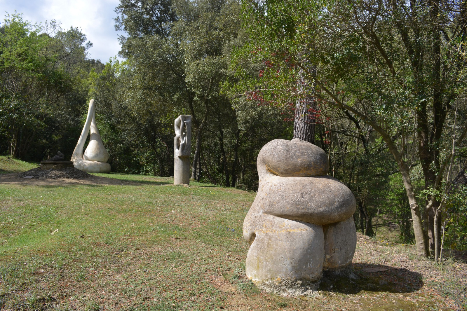 Element naturals del bosc