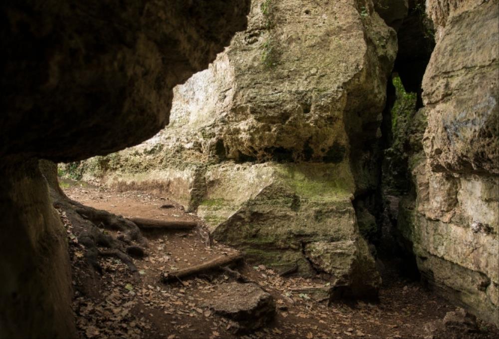 Activitat de descoberta - De l'Estany a les Estunes