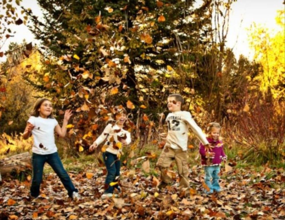 Matins verds - Viu la Tardor