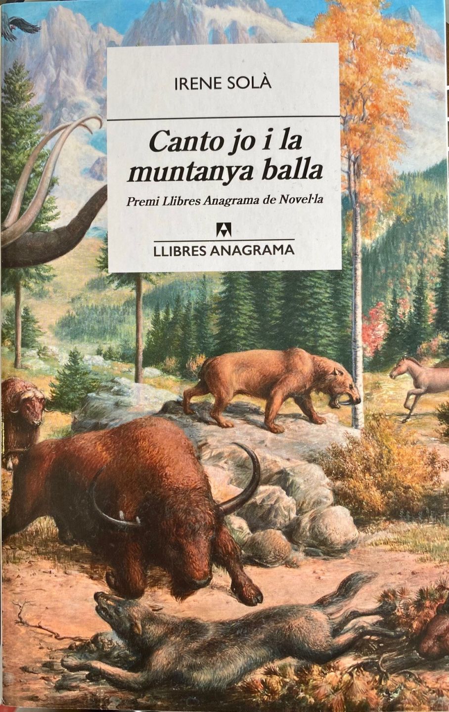Club de lectura - Jo canto i la muntanya balla