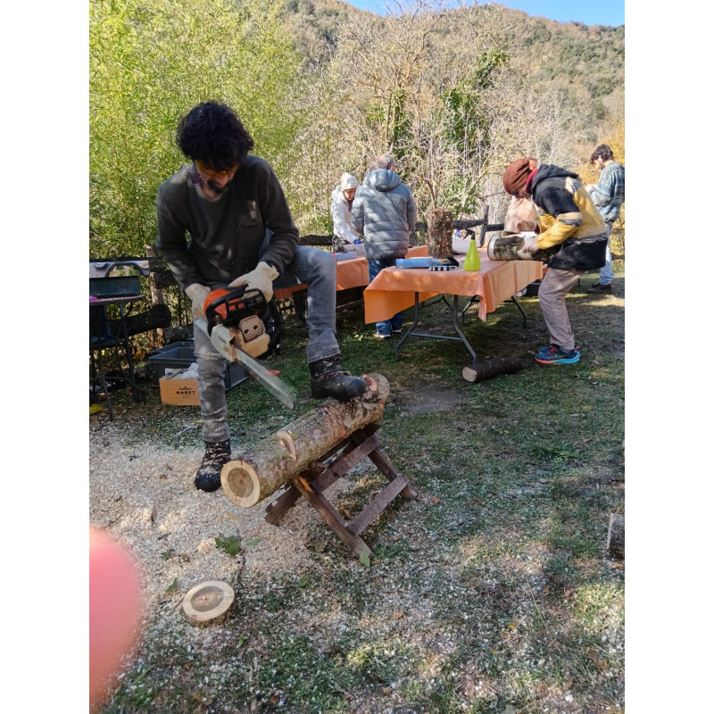 Cultiu de bolets: Tres tècniques en tronc (TTT) - Taller