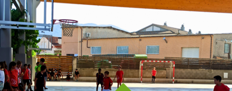 Campionat Comarcal Escolar de Futsal Fantasy