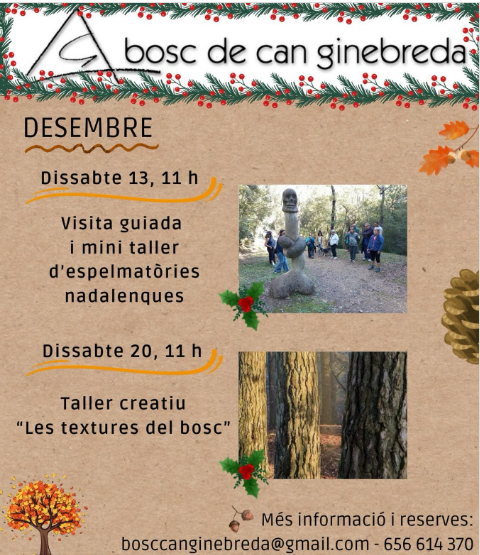 Taller creatiu - Les Textures del Bosc