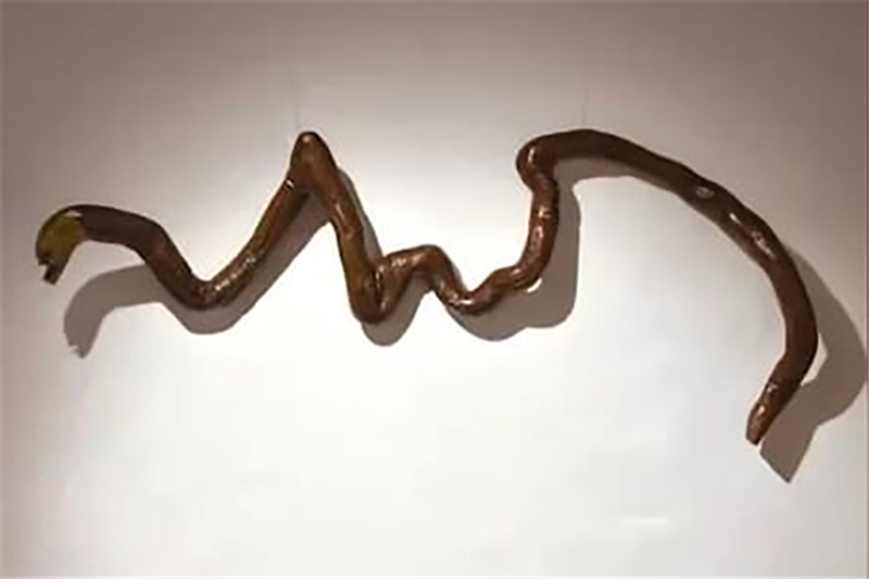 Exposició - Art de bosc