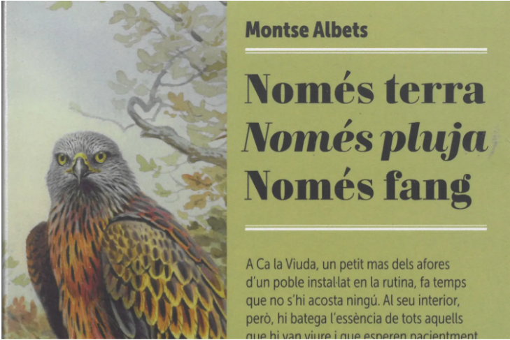 Lectura – Només terra, només pluja, només fang