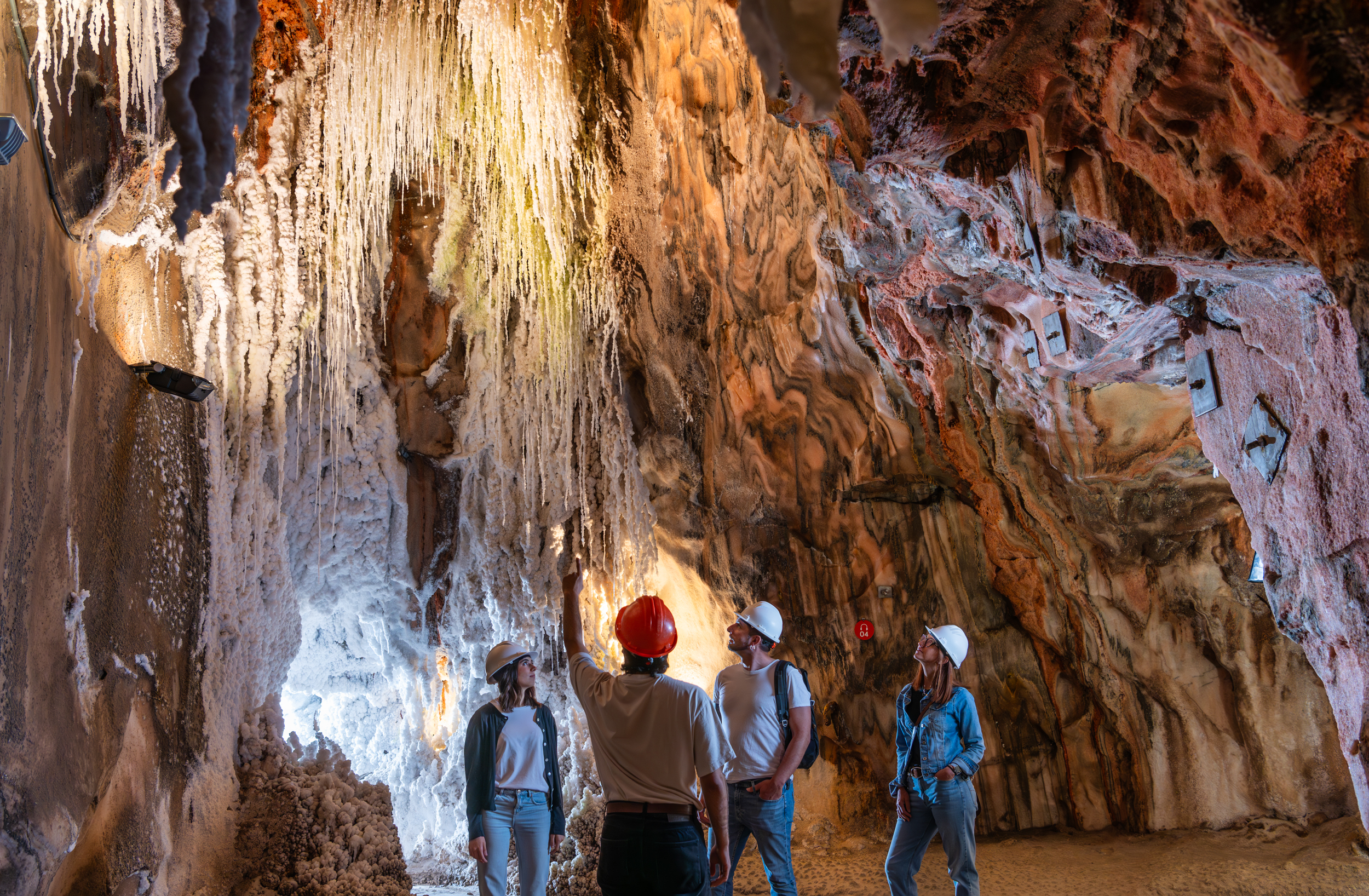 Excursió - Muntanya de Sal i Castell de Cardona