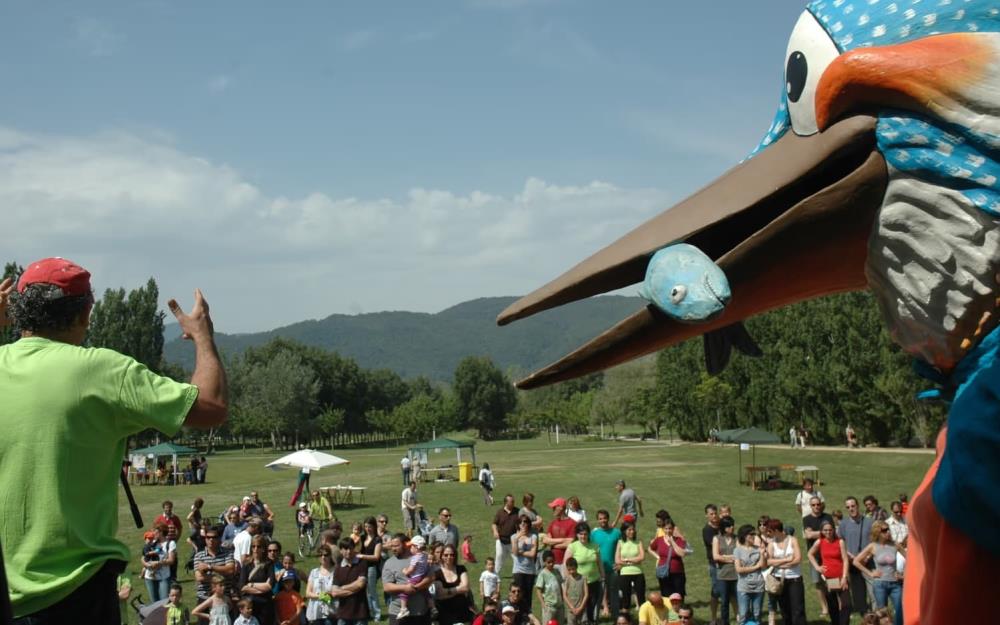 Dia de l'estany - Matí verd