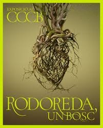 Exposició - Rodoreda, un bosc