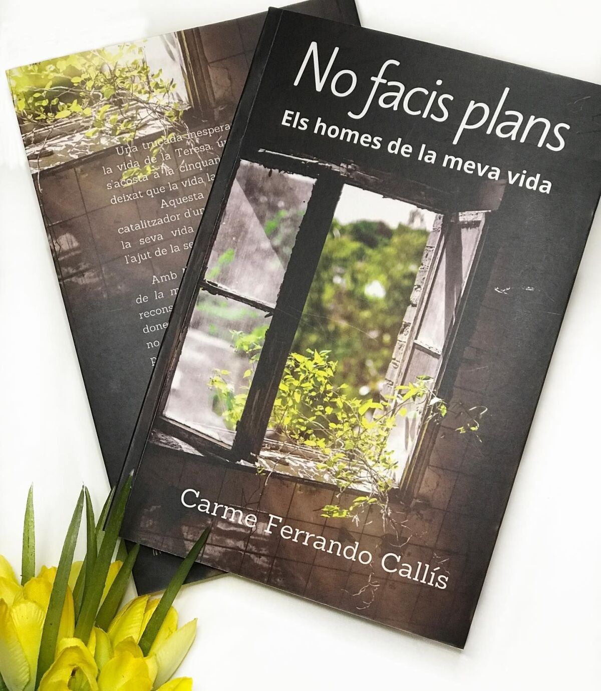 Club de lectura – No facis plans (Carmen Ferrando)