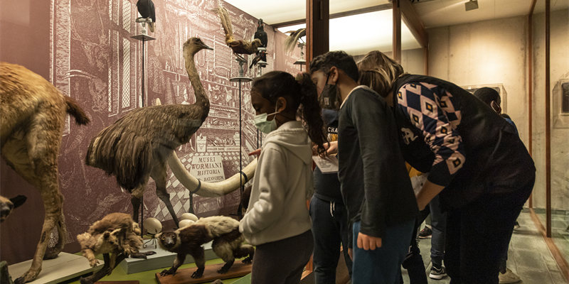 Segueix-me el rastre!