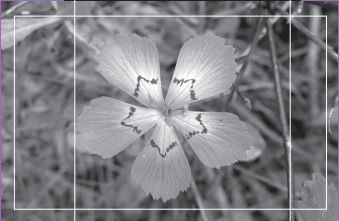 XXIV Concurs de Fotografia de la Natura 2026 – "Simetries i geometries"