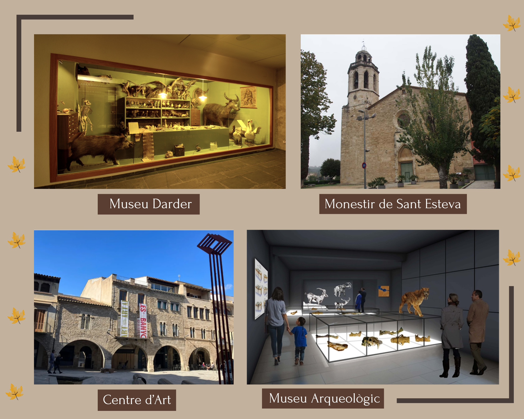 Horaris i tarifes – Museus, Monestir de Sant Esteve i Centre d’Art de Banyoles (2026–2027)