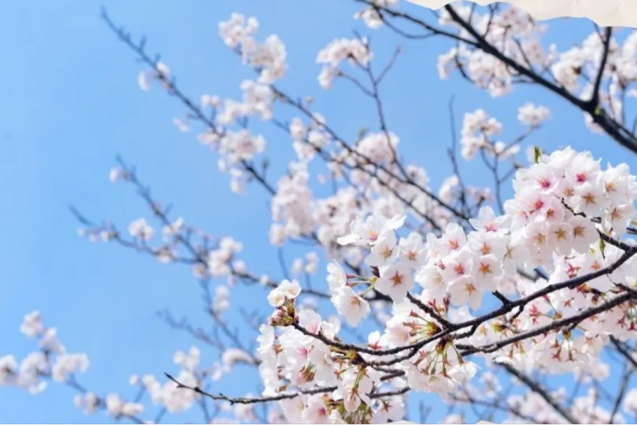 Concert de Primavera - Coral veus de l'Estany i Cor Mercadal