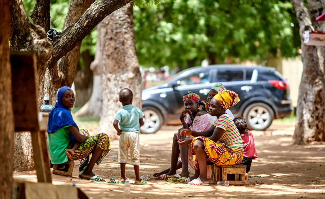 Xerrades i conferències – L'estructura complexa de les comunitats africanes