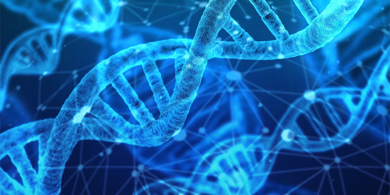 Tardes de ciència – La biologia molecular i la genòmica com a eina per a la medicina personalitzada