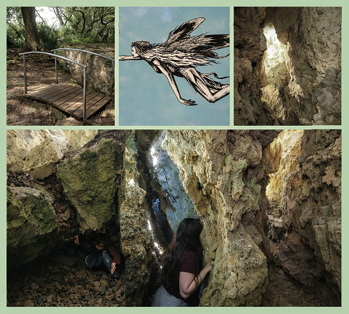 L'enigma del bosc de les Goges