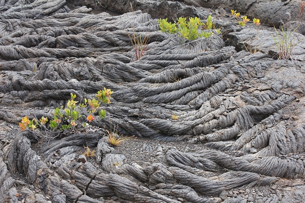 XXIV Concurs de Fotografia de la Natura: "La vida entre les roques"