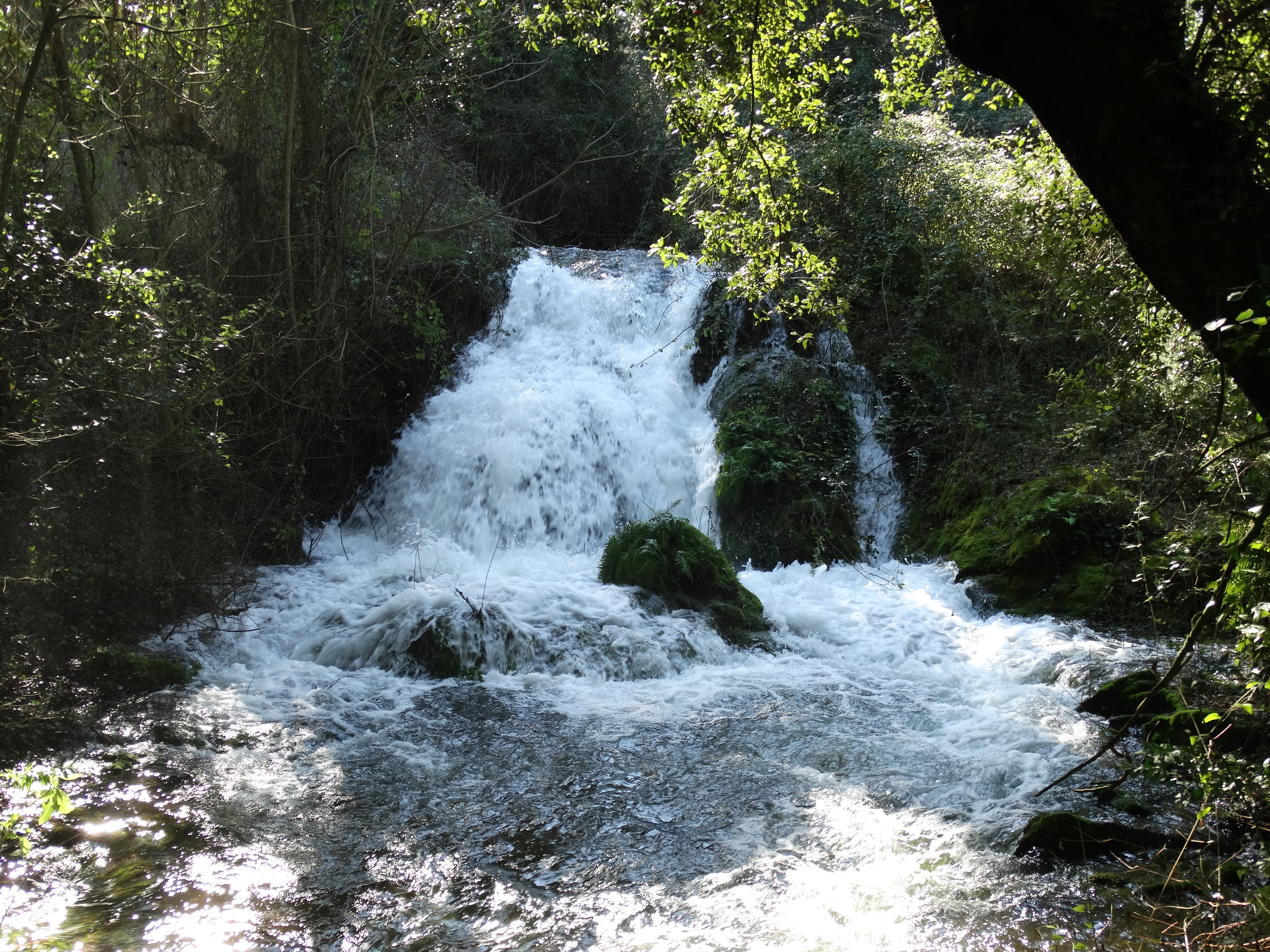 DSC00126