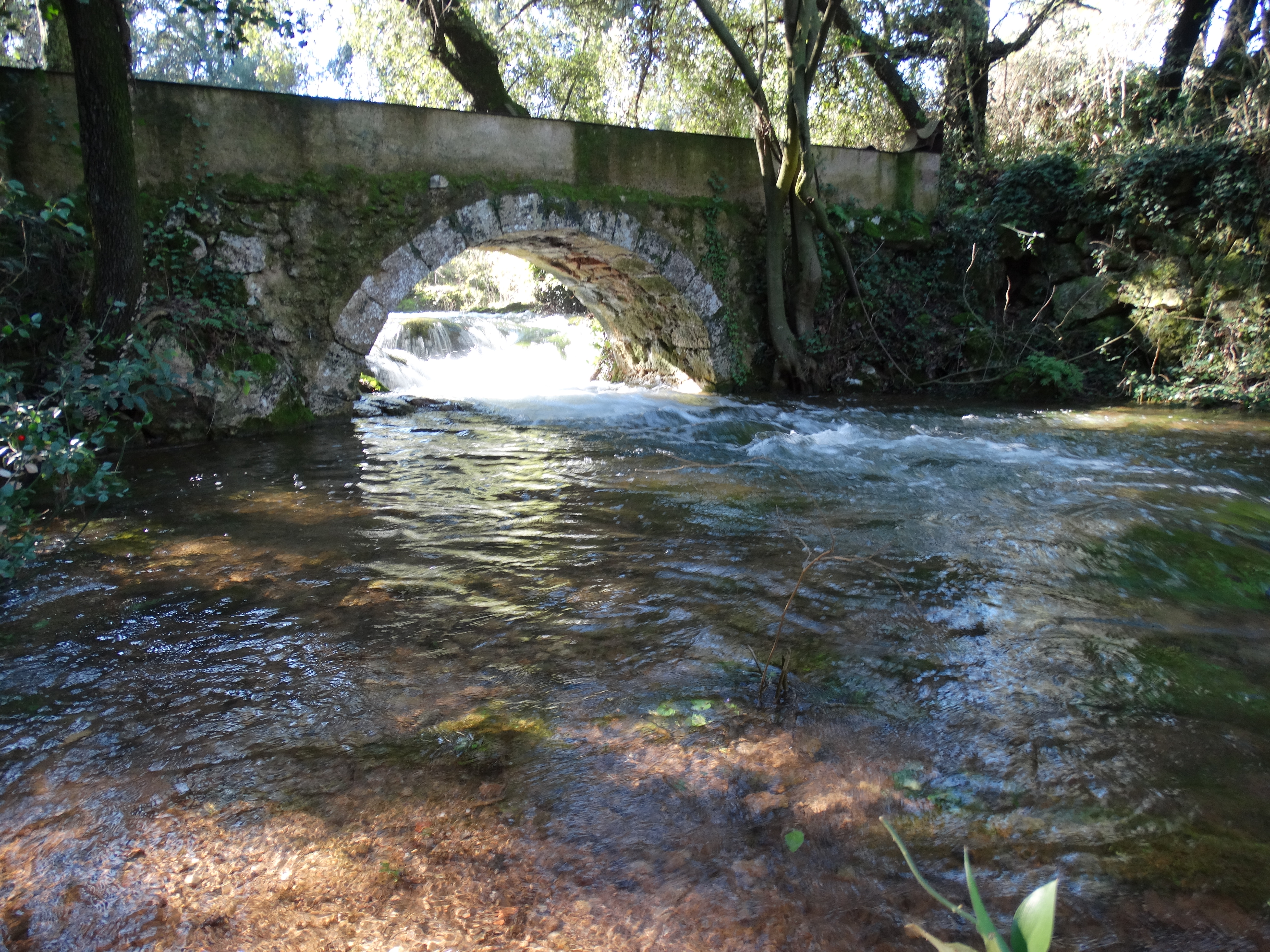 DSC00151