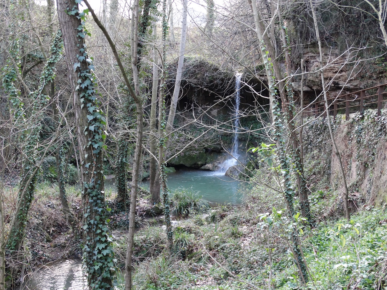 DSC00437