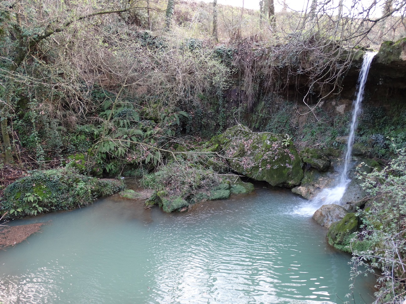 DSC00443