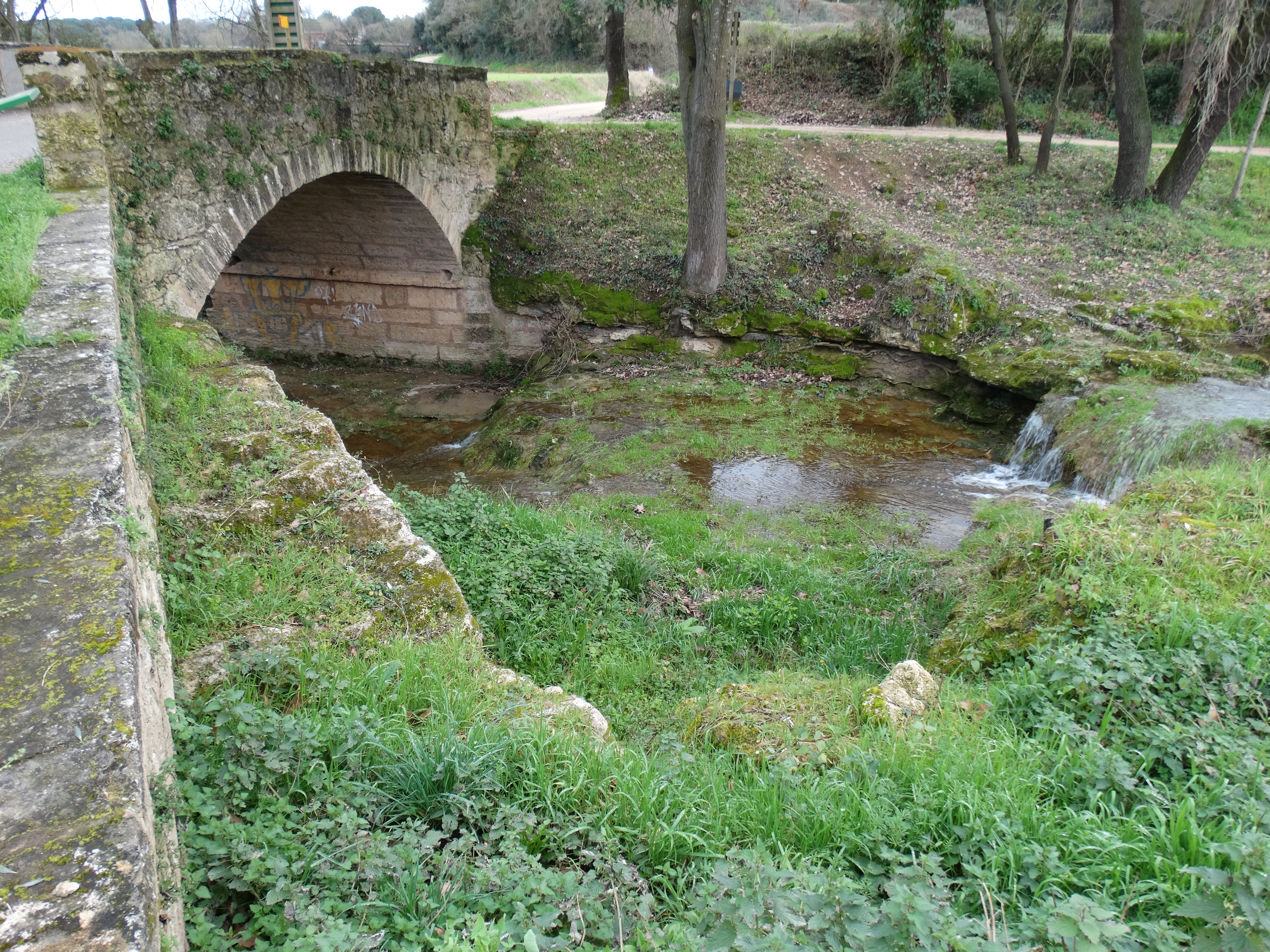 DSC00464