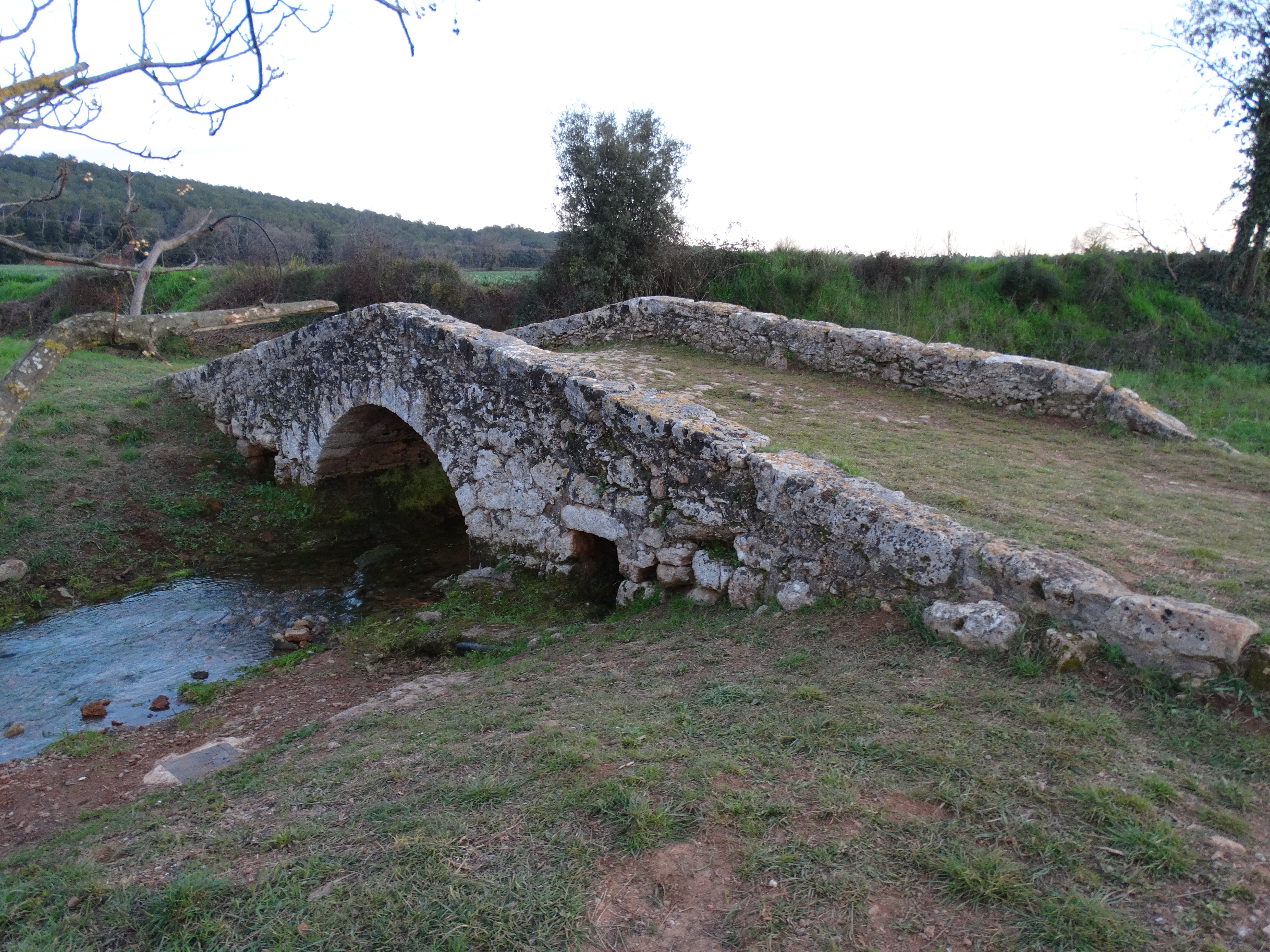 DSC00597
