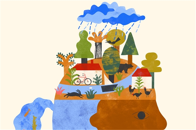 Ecofeminismes Augmentats: Clima, Aigua i Dones