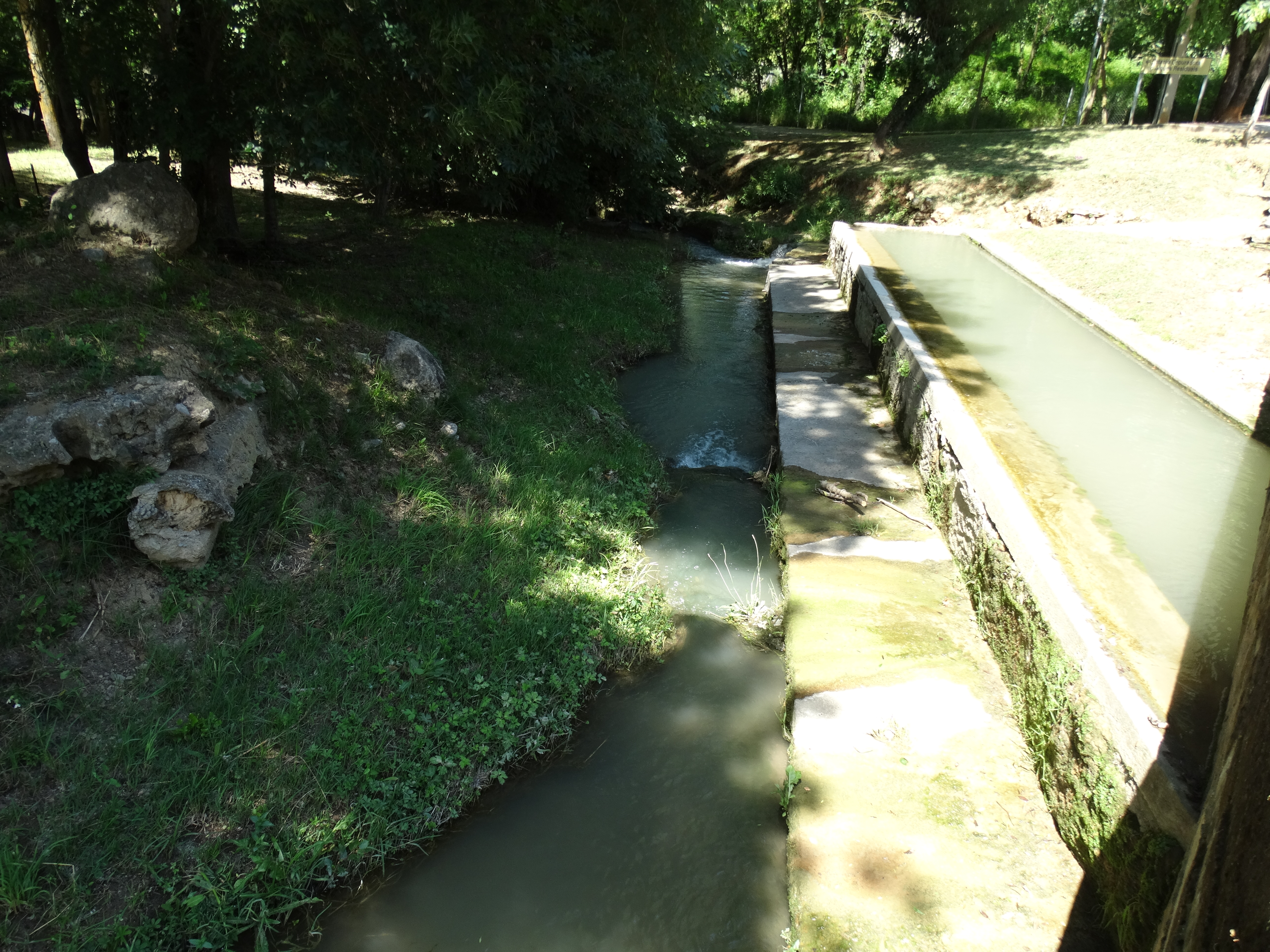 RentadorSerinyà (1)