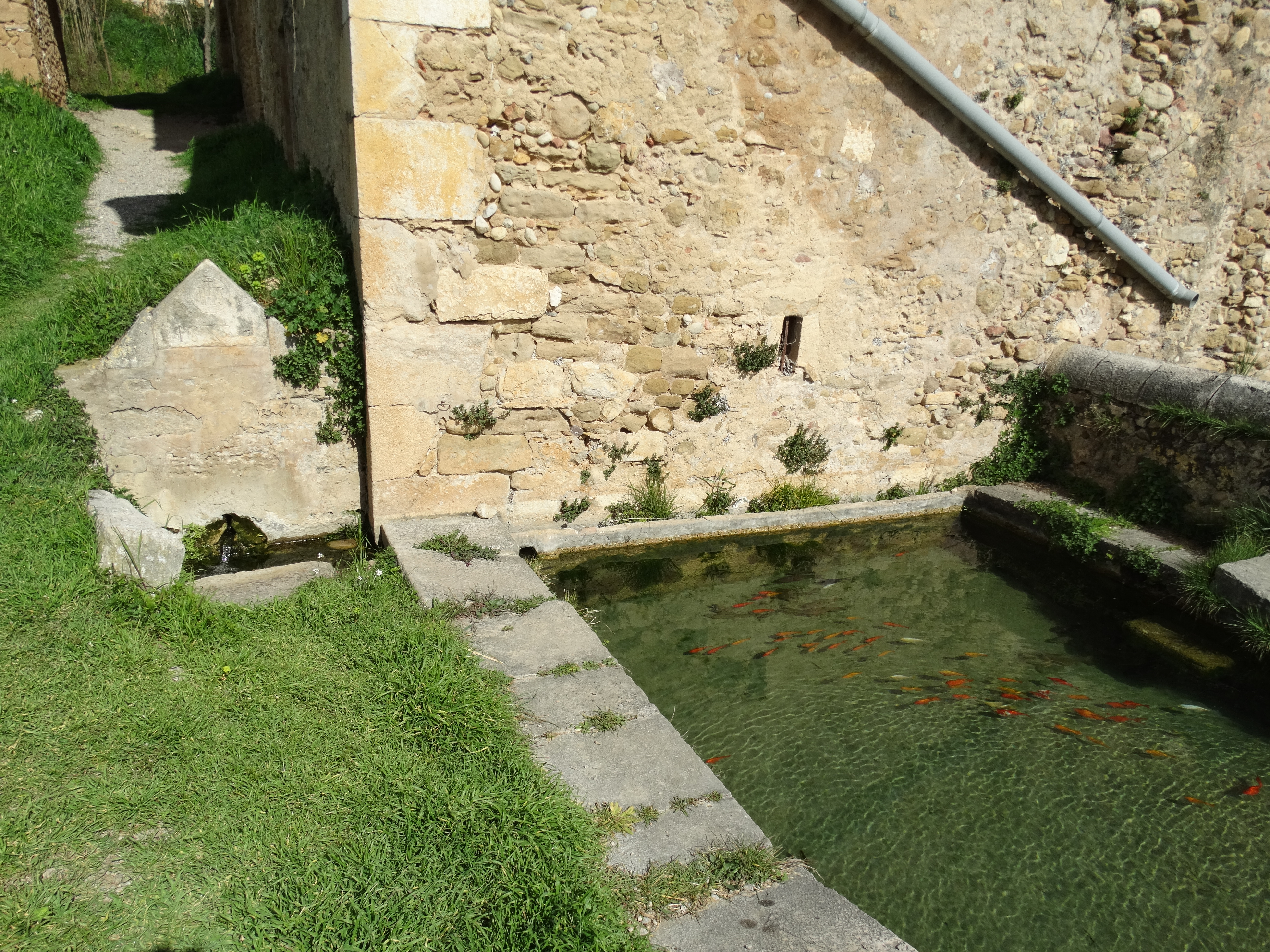 font de can pujol (3)