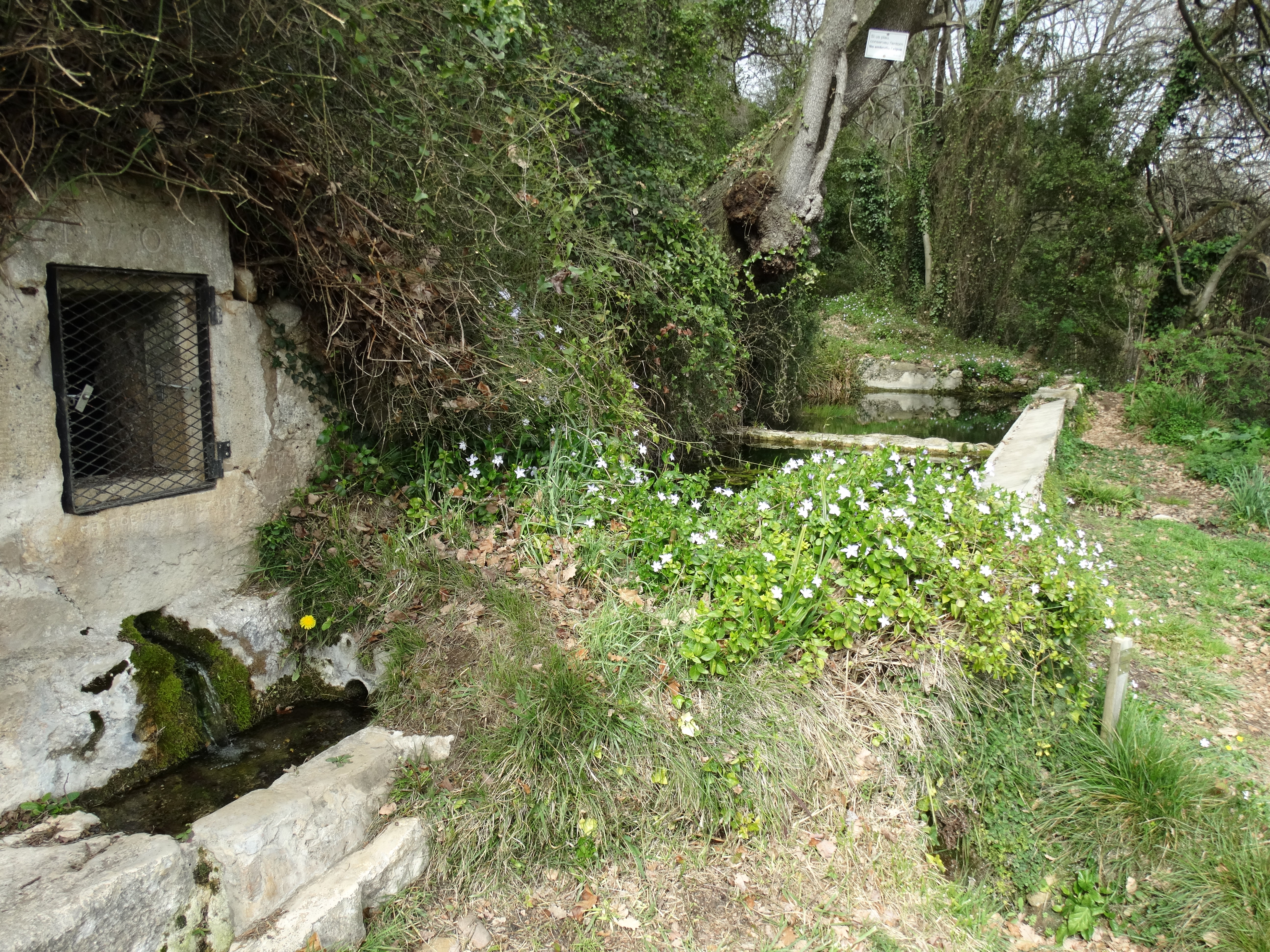 font de la mare de deu de la font (10)