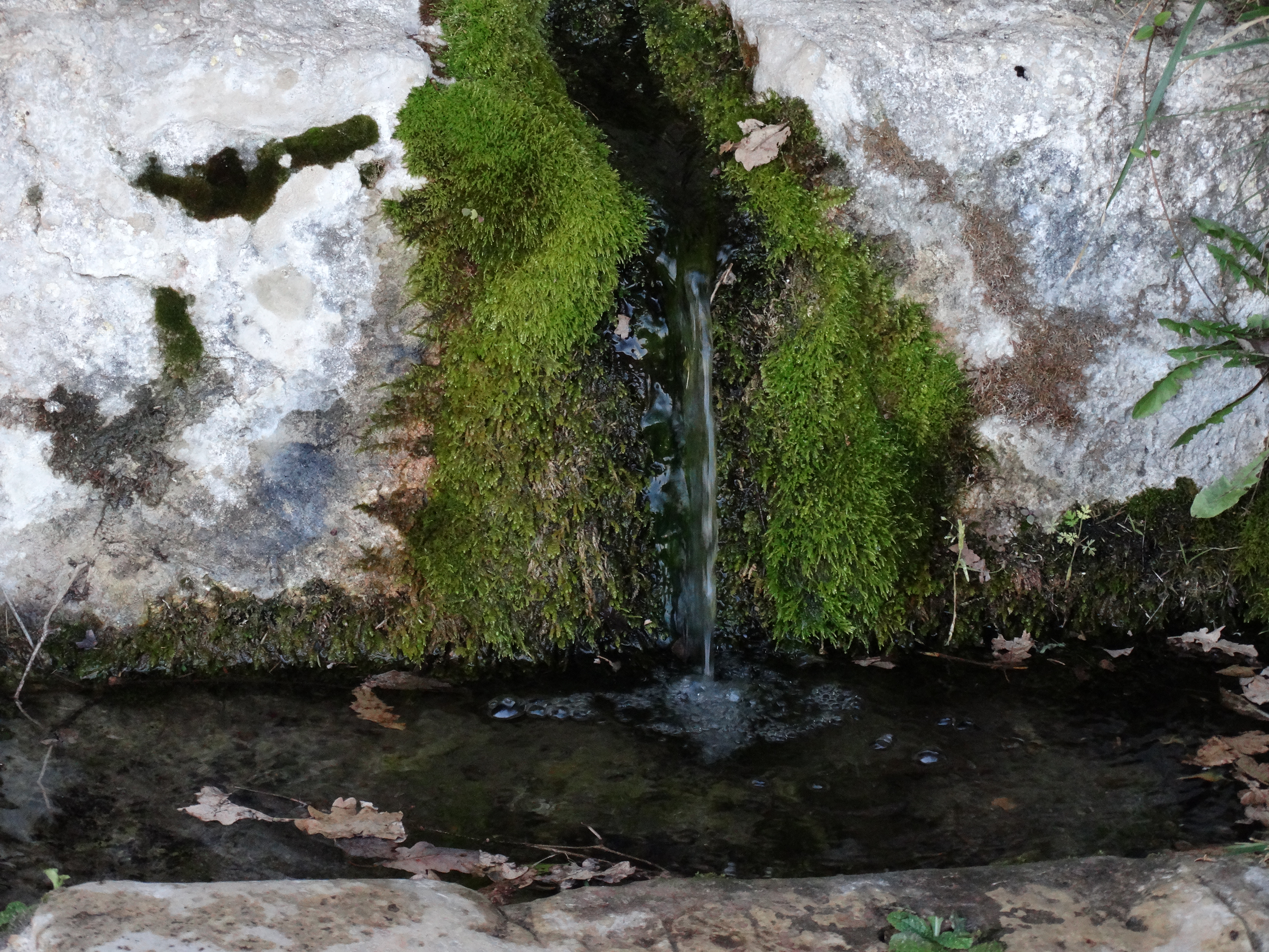 font de la mare de deu de la font (2)