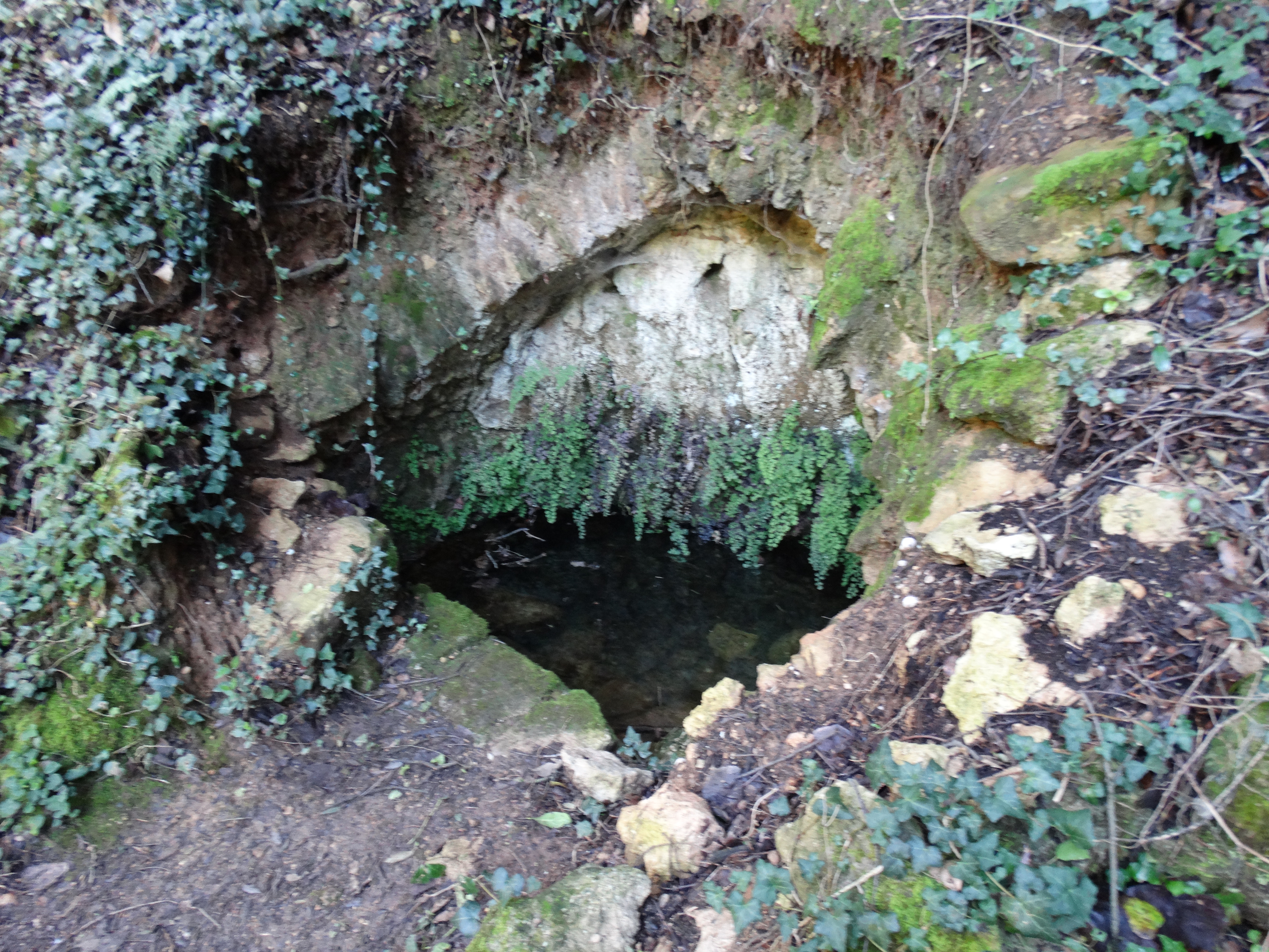 font de l’hospici (3)