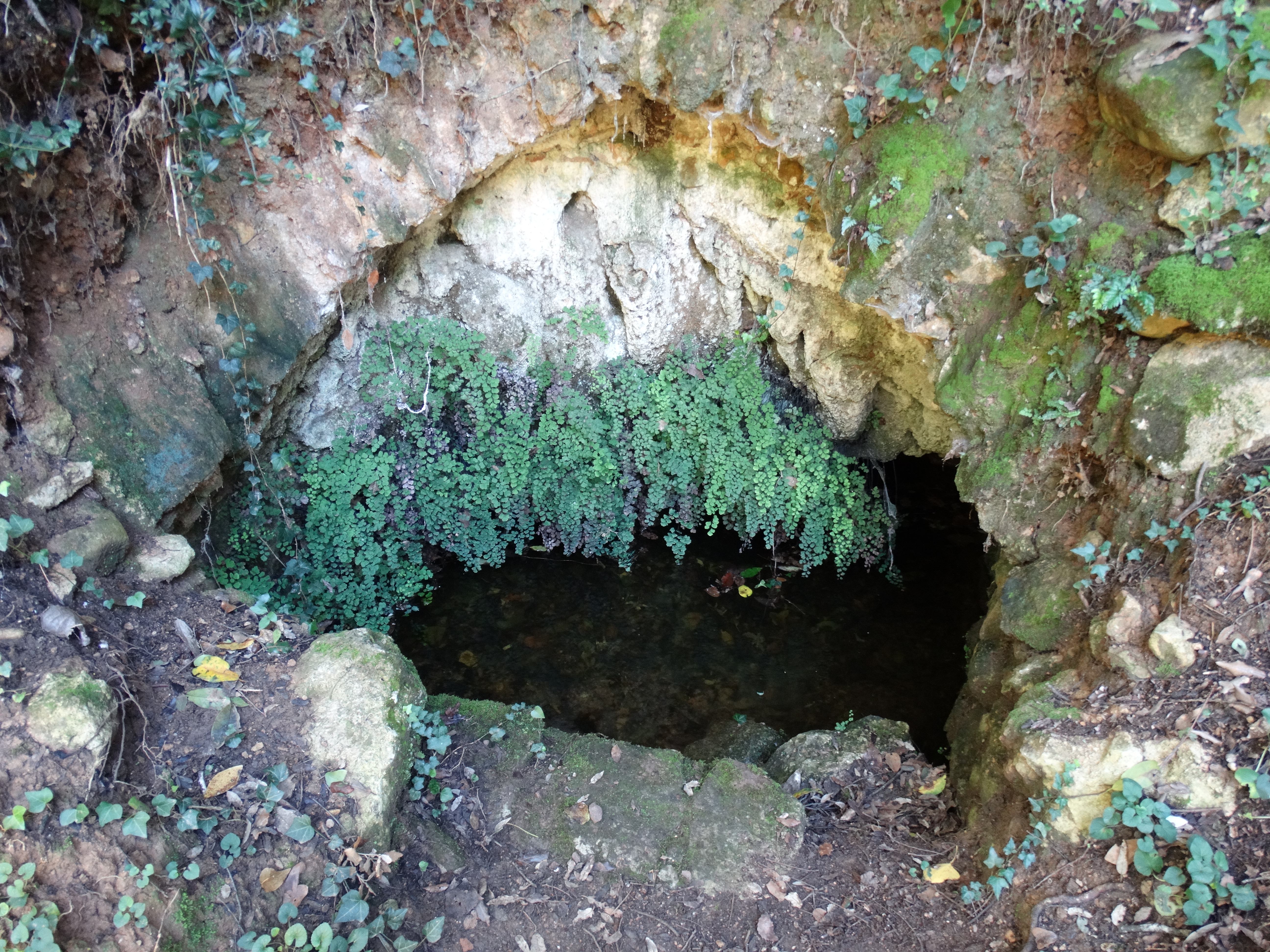 font de l’hospici (4)